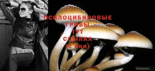 марихуана Балабаново